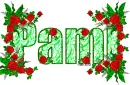 Pami - fg