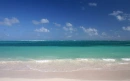 White Waves