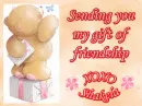 Gift Of Frenship ~ Shakela