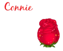 cute red bunny on a rose with text