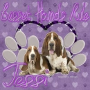 jessi