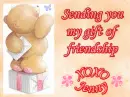 Gift Of Friendship ~ Jenny