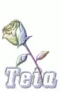 Teia