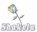 Shakela