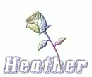 Heather