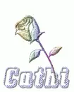 Cathi