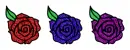 roses