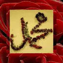 islam