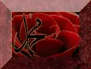 aÅŸk