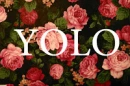 YOLO!