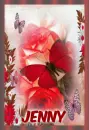 red butterfly and rosa -jenny