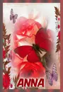 red butterfly and rosa- anna