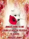 puppy with red rosa- abrazos jenny
