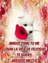puppy with red rosa- abrazos mietta