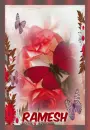 red butterfly and red rosa-  Ramesh