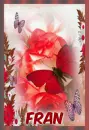  red butterfly and red rosa- fran