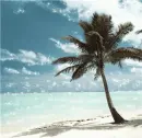 Beach - Background