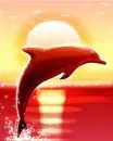 Beach Dolphin - Background
