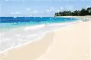 Beach - Background
