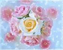Flowers - Background