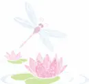 Dragonfly - background