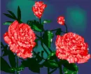 Flowers - Background