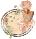 Peach Rose