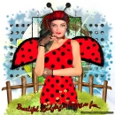 Beautiful Ladybug