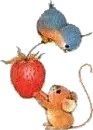 bird&mouse&strawberry
