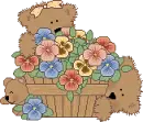 summer bears