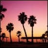 Tropical Sunset
