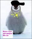 gangsta penguin