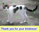 Thank you for your kindness
