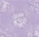 Flowers - Background