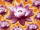Flowers - Background