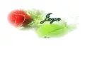 Jaya -rose