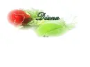 Diana -rose