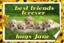 best friends for ever- hugs  Jane