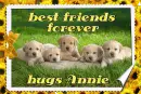 best friends forever - hugs annie