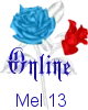 Online Icon -red blue rose-memorial day