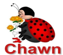 Chawn