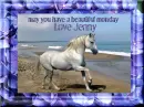 may you have a beautiful monday- love Jenny