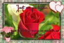 your friendship means so much to me - love jenny