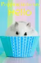 hello