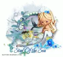 Star Of the Sea