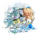 Star Of the Sea