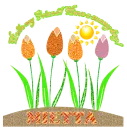 Sunny day