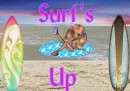 Surf's up