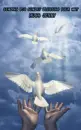 sending you sunday blessings  your way - hugs jenny