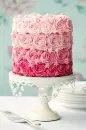 OmbrÃ© Pink Rose Cake!